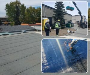 Edmonton Roofing Contractors. Flat Roofing Contractors. No Water Roofing